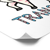 Transgender-Zebra Poster (Hoek)