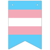 Transgendervlag en -pride gemeenschap vlaggetjes (Tweede vlag)
