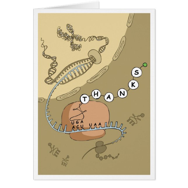 Translation (Voorkant)