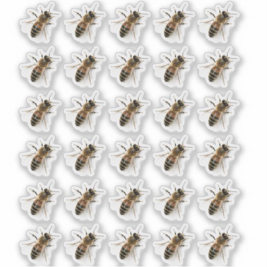 Transparant kruipend Honeybee Photo Sticker (Voorkant)
