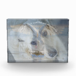 Transparante bekleding van Afbeelding Zwan Acrylfo Fotoblokken