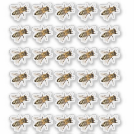 Transparante kruipende Honeybees Realistisch ticke Sticker (Voorkant)