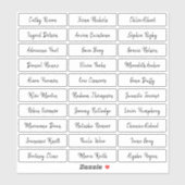 Transparante namen van borstelscript sticker (Vel)