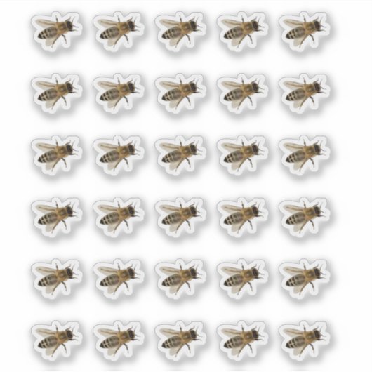 Transparante of Witte Honeybee Stickers (Voorkant)