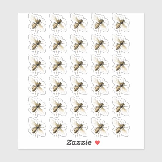 Transparante of witte Vintage Honeybee Stickers (Vel)