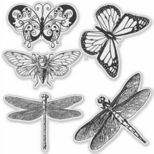 Transparante vliegende insecten stickers
