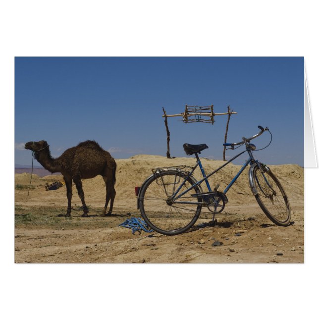 Transport durable (Devant horizontal)