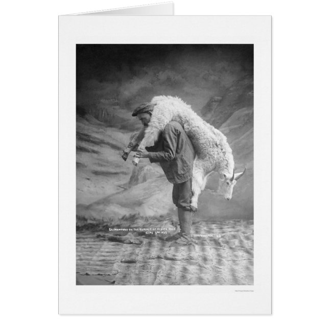 Transporter une chèvre Alaska 1905 (Devant)