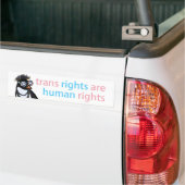 Transrechten bumpersticker met een coole pinguïn (Op Truck)