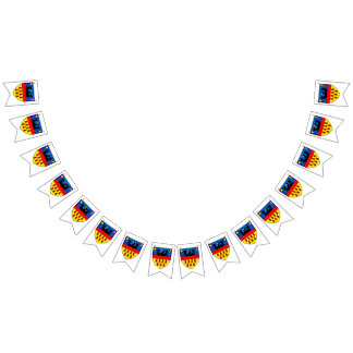 Transsylvanië-vlaggen Vlaggetjes