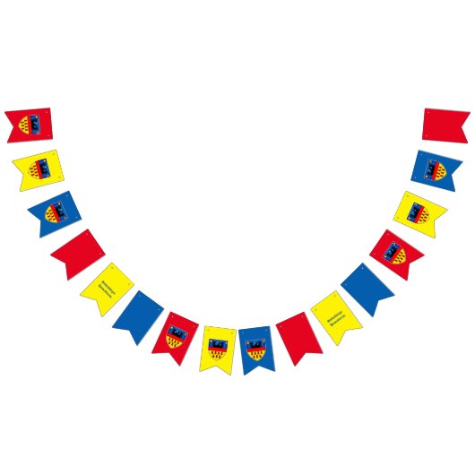 Transsylvanië-vlaggen Vlaggetjes (Alle)