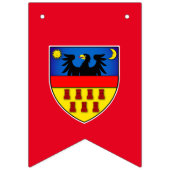 Transsylvanië-vlaggen Vlaggetjes (Eerste vlag)