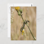 trapezium briefkaart (Voorkant / Achterkant)