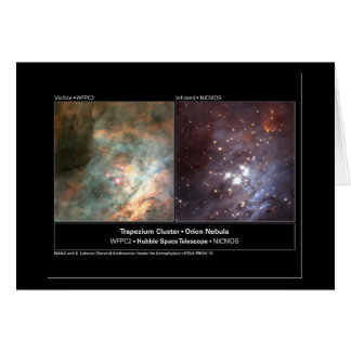 Trapezium Cluster Hubble Telescope Foto