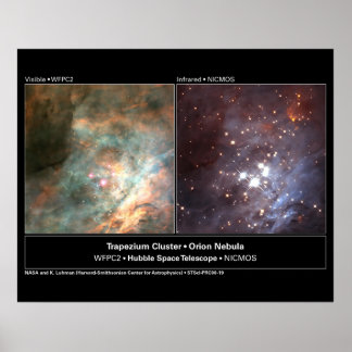 Trapezium Cluster Hubble Telescope Foto Poster