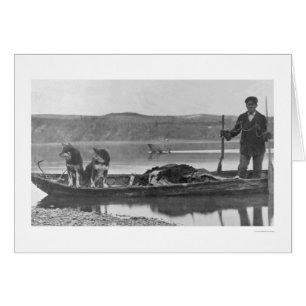 Trapper avec des hanches et des chiens Alaska 1906