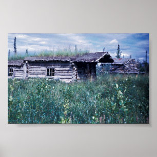 Trapper Cabin langs de oevers van de Coleen Poster