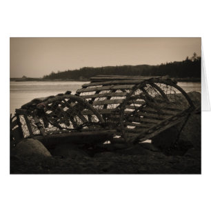 Traps de homard Sepia