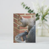 Trashcan Squirrel Briefkaart (Staand voorkant)