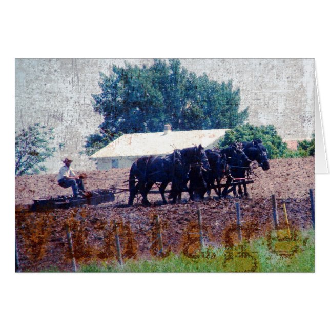 Travail d'équipe vintage (Devant horizontal)