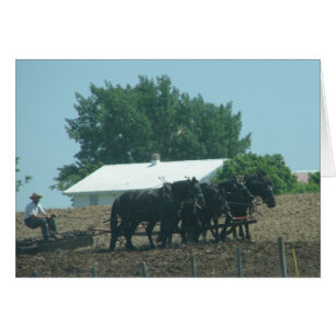 Travail sur le terrain avec les chevaux