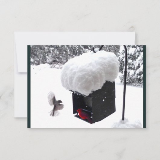 Travailleur du service, Facteur, UPS, FedEx, Carte (Devant)