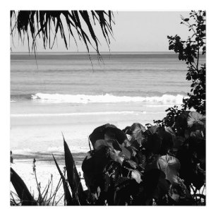 Travel Beach Scene Summer Black White Tropisch Foto Afdruk