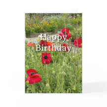 Travel Birthday Red Poppy Flowers Fun Photo 