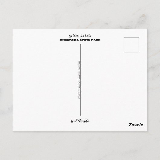 Travel | Florida - Anastasia State Park Sea Oats Briefkaart (Achterkant)