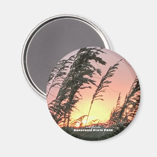 Travel | Florida — Anastasia Zee haats Magneet (Voorkant / Achterkant)
