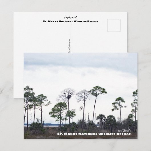 Travel | Florida - Eagles Nest, St. Marks Wildlife Briefkaart (Voorkant / Achterkant)