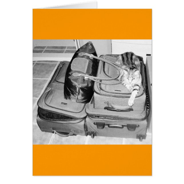 Traveling Indigopotlood (Voorkant)