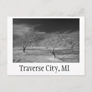 Traverse City Cherry Orchard Briefkaart