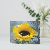 Traversée - Tournesol dans la carte postale de nei (Debout devant)