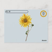Traversée - Tournesol dans la carte postale de nei (Dos)
