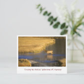 Traverser la carte postale du passage à niveau de  (Debout devant)