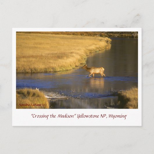 Traverser la carte postale du passage à niveau de  (Devant)