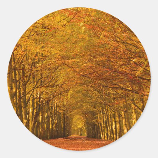 Traverser la forêt en automne autocollant rond (Devant)