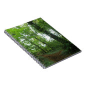Traverser le Carnet de la forêt verte (Côté Droit)