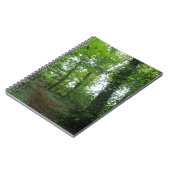 Traverser le Carnet de la forêt verte (Côté gauche)