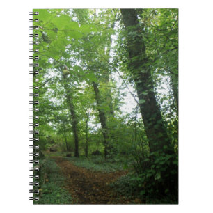 Traverser le Carnet de la forêt verte