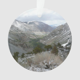 Traverser les montagnes neigeuses de la Sierra Nev