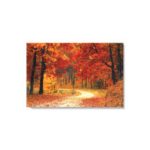 Treasurerbos: Ruby, Gold en Citrine