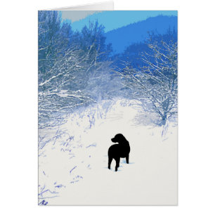Treasures - Black Dog Art - Black Lab