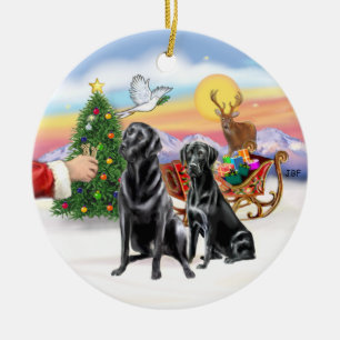 Treat voor twee zwarte labradors keramisch ornament