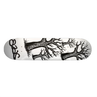 trechterdek skateboard