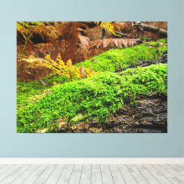 Tree Bark in Autumn Moss - Canvas Afdruk