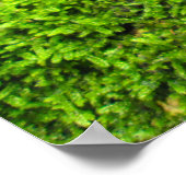 Tree Bark in Autumn Moss - Personalised Poster (Hoek)