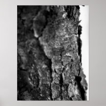 Tree Bark Macro Zwart en Wit