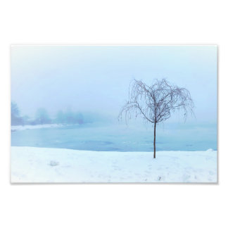 Tree by a Frozen Lake Foto Afdruk